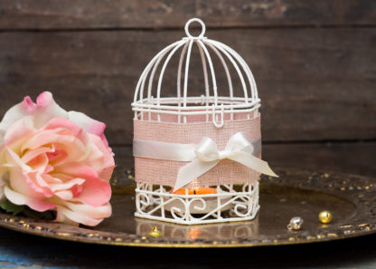Bridesmaids Gifts - Pink Wedding Wire Bird Cages Set of 2